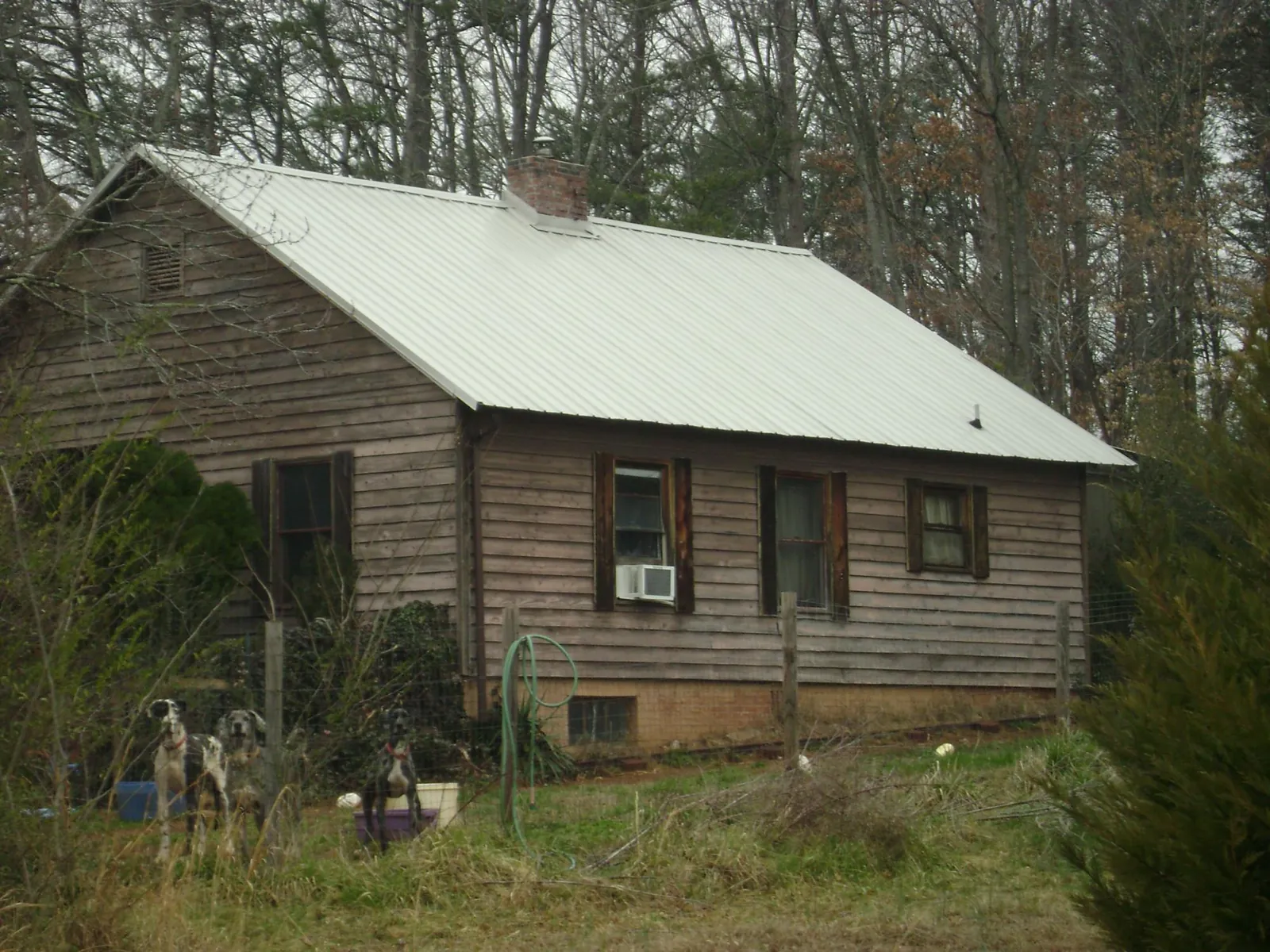 White metal roof on an old wood sided farmhouse, from a Asphalt Shingle Roof Repair job in Ohiopyle